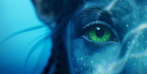 Avatar 2 release date, cast, trailer and all you need to know about The Way of Water