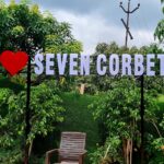 Courseplay announces a new collaboration with Go1 for their off-the-shelf e-learning content library