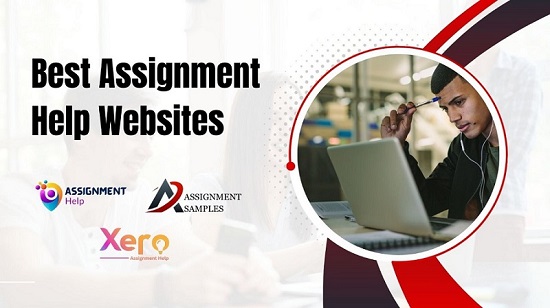 Best Assignment Help Websites: Top 3 Assignment Help Services